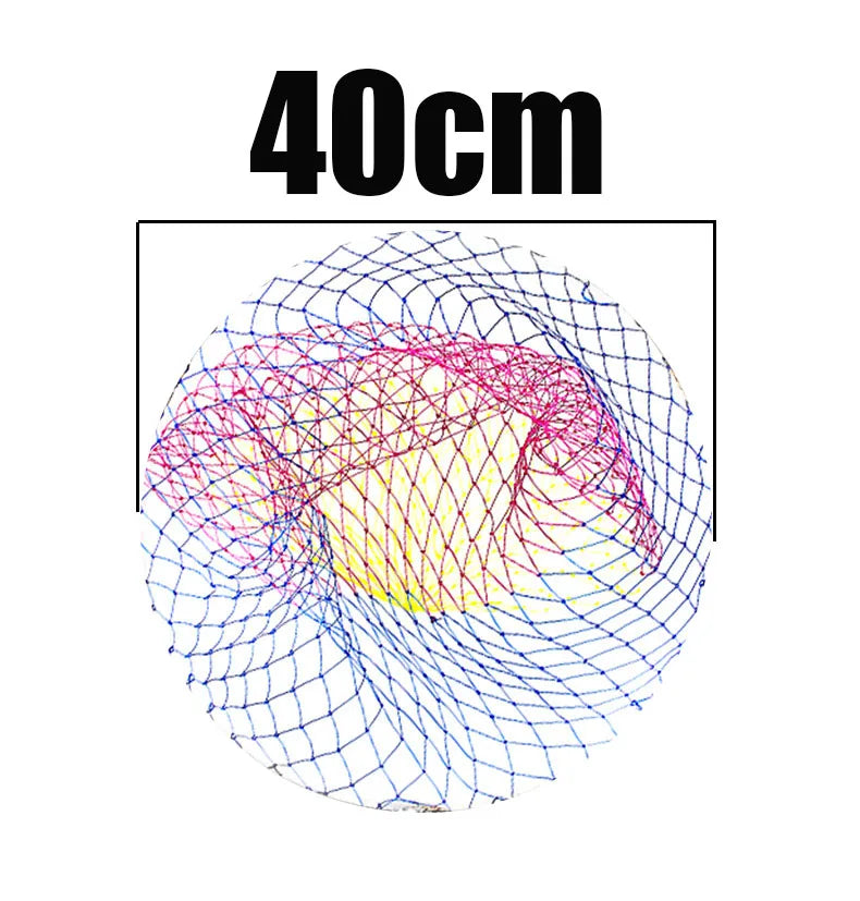 45653186445537